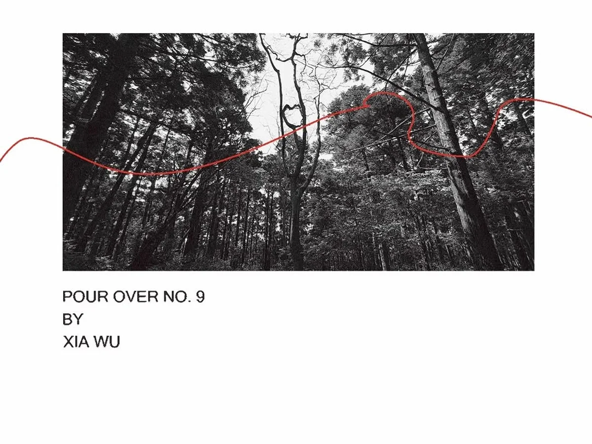 春天是不是快跟夏天交接了呀